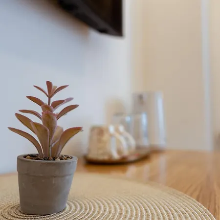 Apartamento Mahagoni