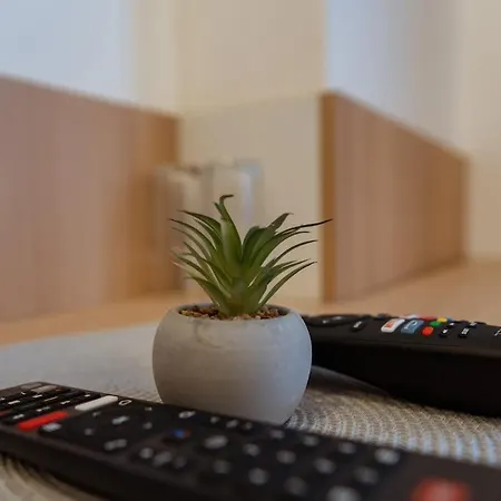 Mahagoni Apartamento